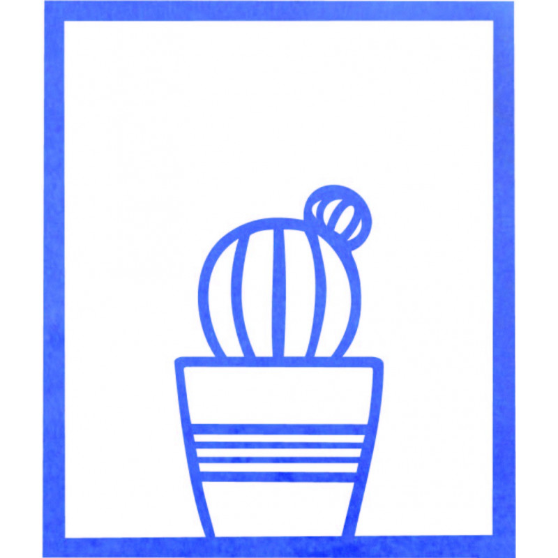 Moderní obraz na stěnu - KAKTUS ALDER | SENTOP