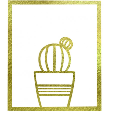 Moderní obraz na stěnu - KAKTUS ALDER | SENTOP