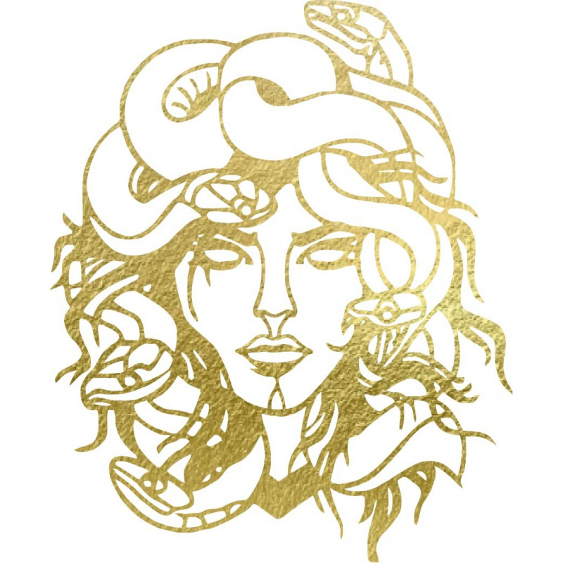 Obraz na zdi msdúza žena - MEDUSA GORGONA
