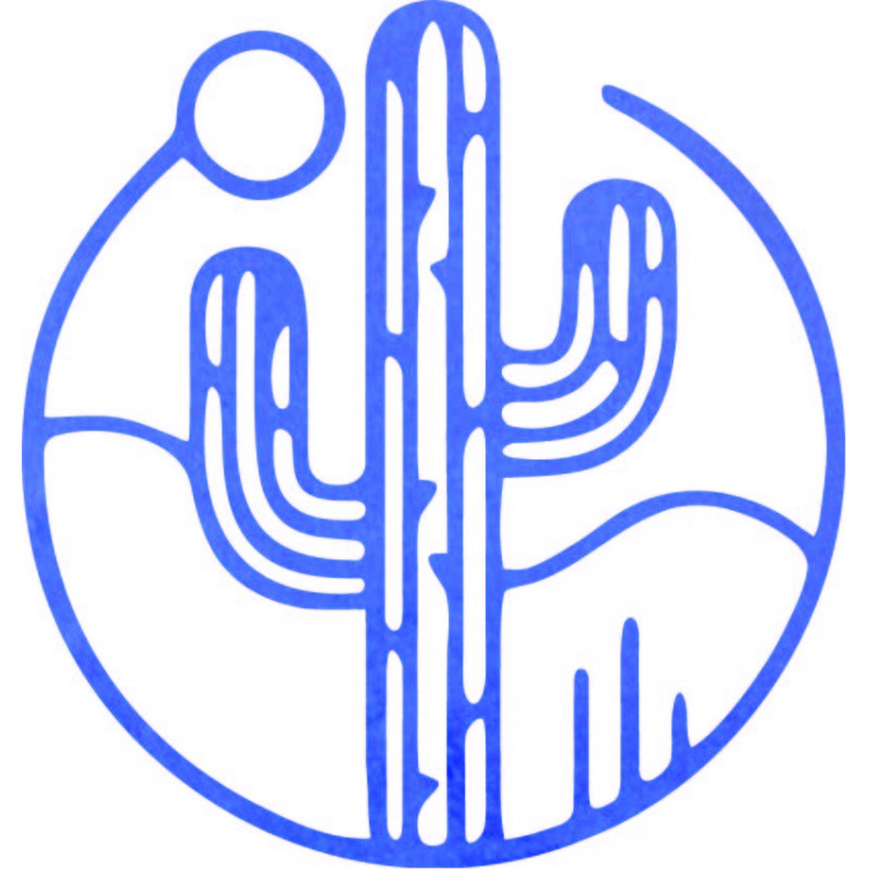 Dřevěný nástěnný obraz kaktusu se sluncem - MONK