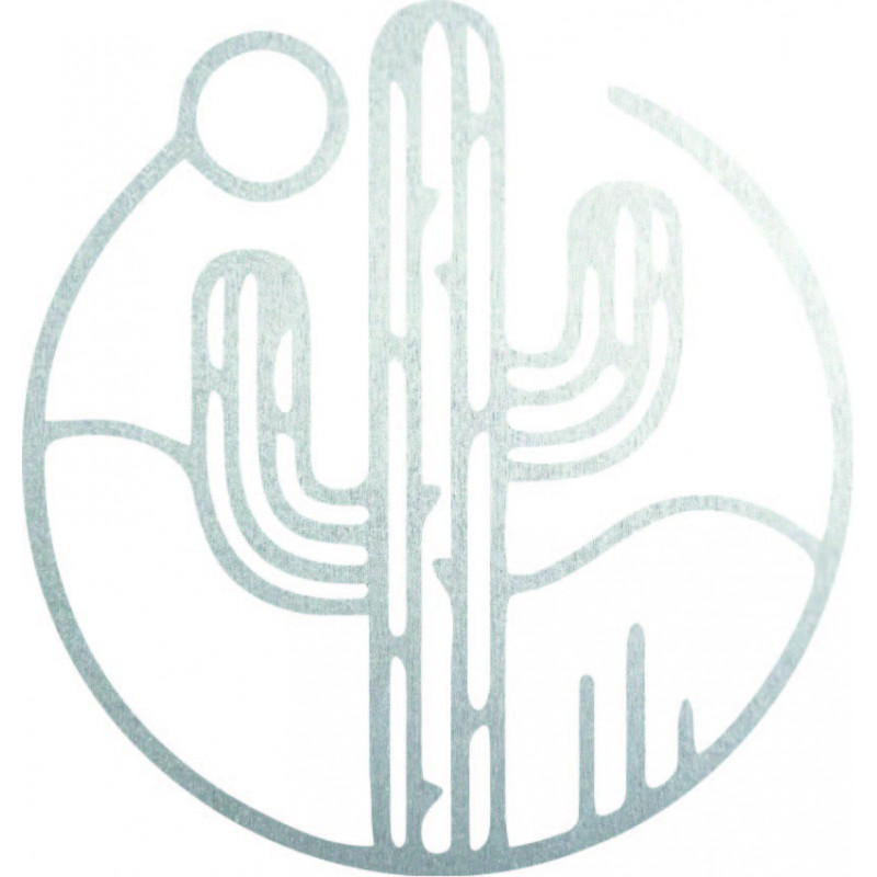 Dřevěný nástěnný obraz kaktusu se sluncem - MONK