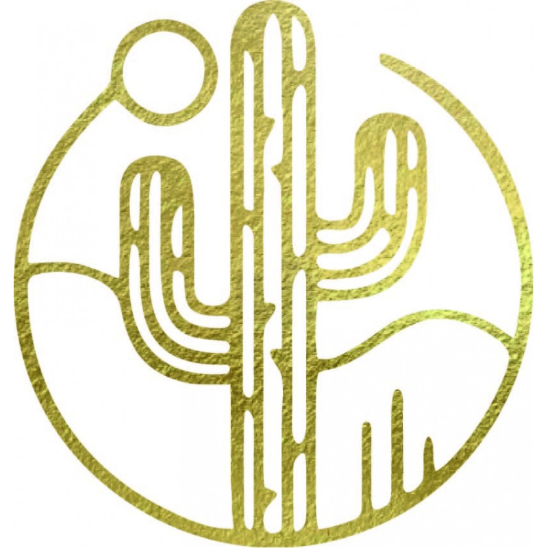 Dřevěný nástěnný obraz kaktusu se sluncem - MONK