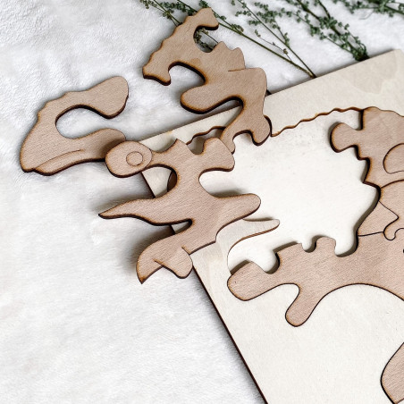 Dřevěná dvoubarevná dřevěná montessori vkládačka pro děti - Chameleon BUK | SENTOP