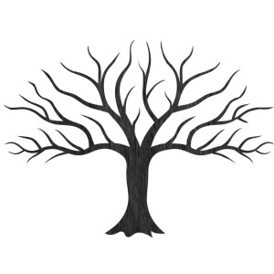 Dřevěný nástěnný obraz strom a větve - JOLAF 2