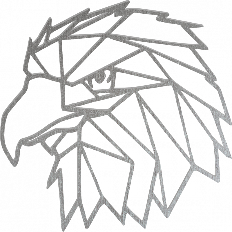 STYLESA Vyřezávaný obraz na zeď geometrické tvary orel PR0234 černý